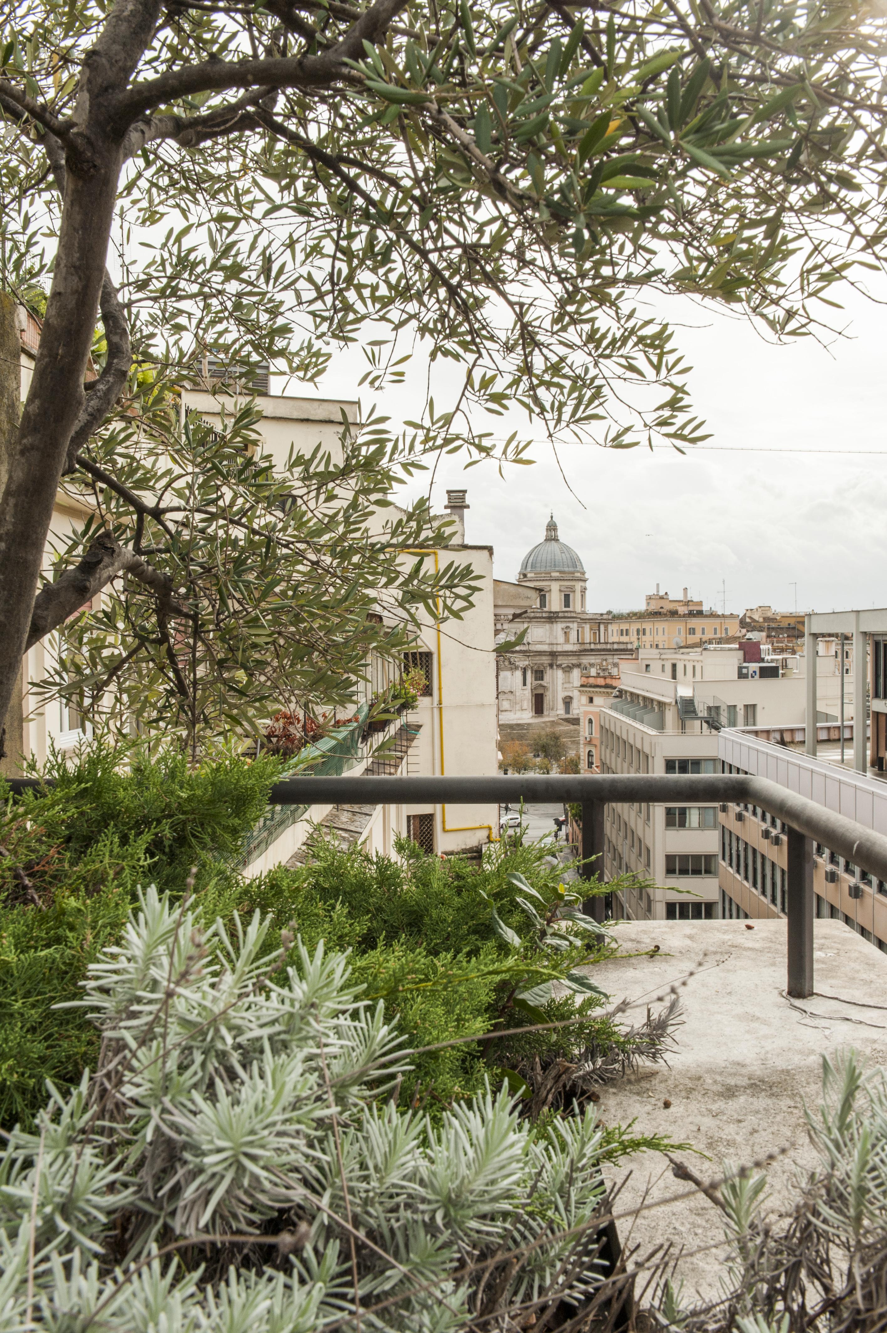 Hotel Rex Roma Dış mekan fotoğraf